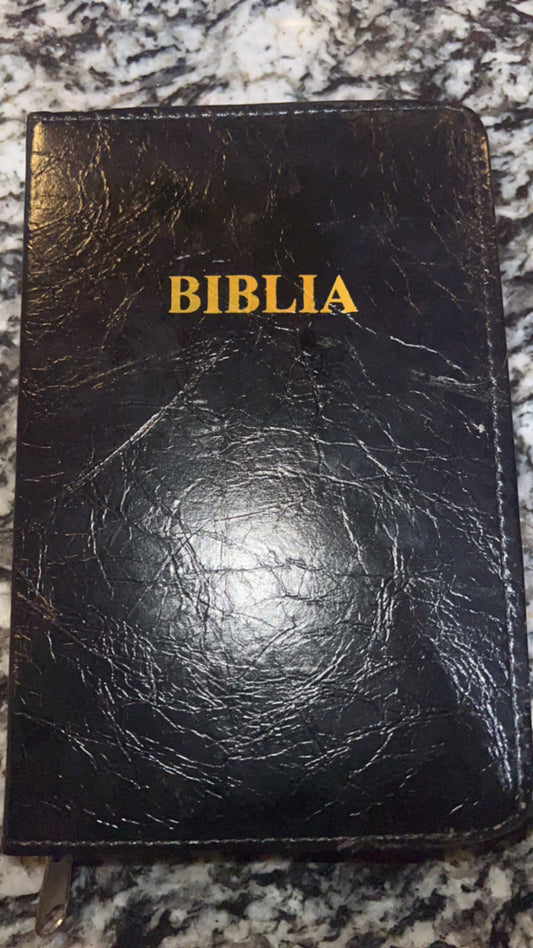 Swahili Bible