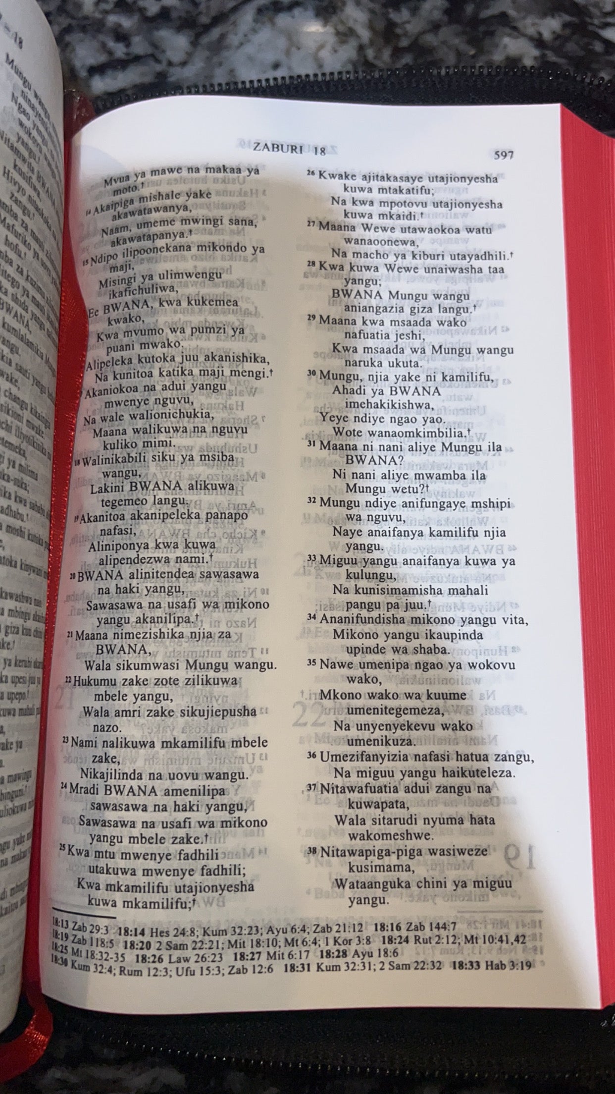 Swahili Bible